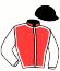 casaque portée par Richard G. jockey du cheval de course SAINTE CLENI, information pmu ZETURF