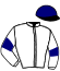 casaque portée par Smit W. jockey du cheval de course ERA, information pmu ZETURF