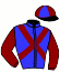 casaque portée par Armand L. jockey du cheval de course SALSA ROSE, information pmu ZETURF casaque portée par Armand L. jockey du cheval de course SALSA ROSE, information pmu ZETURF