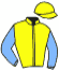 casaque portée par Le Quilleuc S. jockey du cheval de course BERIA, information pmu ZETURF casaque portée par Le Quilleuc S. jockey du cheval de course BERIA, information pmu ZETURF