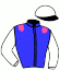 casaque portée par Veron F. jockey du cheval de course AUTUMN PRIDE, information pmu ZETURF casaque portée par Veron F. jockey du cheval de course AUTUMN PRIDE, information pmu ZETURF