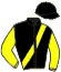 casaque portée par Seguy V. jockey du cheval de course SIDI STAR, information pmu ZETURF casaque portée par Seguy V. jockey du cheval de course SIDI STAR, information pmu ZETURF