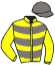 casaque portée par Dubord Rom. jockey du cheval de course GRECIAN RULER, information pmu ZETURF casaque portée par Dubord Rom. jockey du cheval de course GRECIAN RULER, information pmu ZETURF