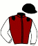 casaque portée par Molins Mlle A. jockey du cheval de course DRAGON LOVE (FR), information pmu ZETURF