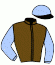 casaque portée par Flandrin B. jockey du cheval de course LAIO (FR), information pmu ZETURF