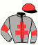 casaque portée par Chuette Mlle S. jockey du cheval de course MANDLEFT, information pmu ZETURF