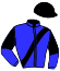 casaque portée par Seidl M. jockey du cheval de course MAAVAH, information pmu ZETURF
