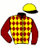 casaque portée par Lestrade B. jockey du cheval de course CESAR DE BALLON, information pmu ZETURF
