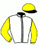 casaque portée par Berge C. jockey du cheval de course PICCINELLI, information pmu ZETURF