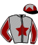 casaque portée par Nugent H. jockey du cheval de course KALYPSO DU CHESNAY, information pmu ZETURF casaque portée par Nugent H. jockey du cheval de course KALYPSO DU CHESNAY, information pmu ZETURF