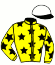 casaque portée par Verva Pie. Y. jockey du cheval de course FERIA DU TOULAY (FR), information pmu ZETURF