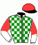 casaque portée par Bazire P. jockey du cheval de course DONNA LEPANTO (FR), information pmu ZETURF