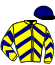 casaque portée par Ferreira N. jockey du cheval de course DIVA DE SANE (AQ), information pmu ZETURF