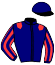 casaque portée par Lecoeuvre C. jockey du cheval de course RIVERWING, information pmu ZETURF