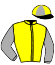 casaque portée par Forest M. jockey du cheval de course DIVAHORA, information pmu ZETURF