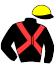 casaque portée par Pouchin A. jockey du cheval de course SHARAR, information pmu ZETURF