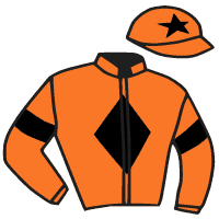 casaque portée par Breux S. jockey du cheval de course DIVINO, information pmu ZETURF casaque portée par Breux S. jockey du cheval de course DIVINO, information pmu ZETURF