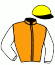 casaque portée par Madamet A. jockey du cheval de course REGINA LILLIE, information pmu ZETURF