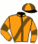 casaque portée par Bridault F. jockey du cheval de course INDIGO DE GODREL, information pmu ZETURF