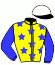 casaque portée par Van Den Putte Jr J. jockey du cheval de course HONNEUR DE LA COTE, information pmu ZETURF