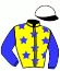 casaque portée par Van Den Putte Jr J. jockey du cheval de course HONNEUR DE LA COTE, information pmu ZETURF casaque portée par Van Den Putte Jr J. jockey du cheval de course HONNEUR DE LA COTE, information pmu ZETURF