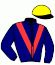 casaque portée par Defontaine Q. jockey du cheval de course IGUANE DES ONGRAIS, information pmu ZETURF