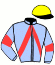 casaque portée par Hemery R. jockey du cheval de course KINKY PAN, information pmu ZETURF casaque portée par Hemery R. jockey du cheval de course KINKY PAN, information pmu ZETURF