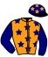 casaque portée par Ferreira N. jockey du cheval de course KROUPADE, information pmu ZETURF casaque portée par Ferreira N. jockey du cheval de course KROUPADE, information pmu ZETURF