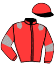 casaque portée par Raffin E. jockey du cheval de course HALLATA (FR), information pmu ZETURF