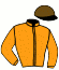 casaque portée par Meunier E. jockey du cheval de course PEPITO DU RHEU (FR), information pmu ZETURF
