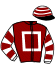 casaque portée par Lebouc Hug. jockey du cheval de course FAMISCO DE CODIERE (FR), information pmu ZETURF