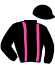 casaque portée par Pointeau T. jockey du cheval de course ENRIQUE (FR), information pmu ZETURF