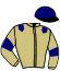 casaque portée par Peslier O. jockey du cheval de course GUYANE (AQ), information pmu ZETURF