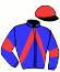 casaque portée par Danet P. jockey du cheval de course HOLLY DU FER (FR), information pmu ZETURF