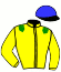 casaque portée par Duveau M. jockey du cheval de course ELGA MALEX, information pmu ZETURF