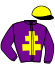 casaque portée par Tintillier A. jockey du cheval de course GAZELLE DE VIVOIN, information pmu ZETURF