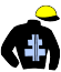 casaque portée par Raffin E. jockey du cheval de course GAVROCHE STAR (FR), information pmu ZETURF