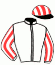 casaque portée par D' Andigne O. jockey du cheval de course ZIBULON, information pmu ZETURF casaque portée par D' Andigne O. jockey du cheval de course ZIBULON, information pmu ZETURF