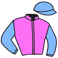 casaque portée par Marquette Max. jockey du cheval de course STYLE FLIGHT, information pmu ZETURF casaque portée par Marquette Max. jockey du cheval de course STYLE FLIGHT, information pmu ZETURF