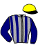 casaque portée par Barille Y. jockey du cheval de course WIND OF CHANCE, information pmu ZETURF casaque portée par Barille Y. jockey du cheval de course WIND OF CHANCE, information pmu ZETURF