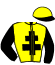 casaque portée par D' Andigne O. jockey du cheval de course HYSTERIQUE, information pmu ZETURF casaque portée par D' Andigne O. jockey du cheval de course HYSTERIQUE, information pmu ZETURF