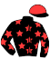 casaque portée par Pacha N. jockey du cheval de course KYLIAN DU CHATELET, information pmu ZETURF