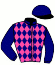 casaque portée par Lamy R. jockey du cheval de course HECTOR DU MINON, information pmu ZETURF