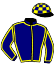 casaque portée par Grosbois Chr. jockey du cheval de course RAIL DAWN, information pmu ZETURF