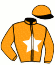 casaque portée par Boche Dam. jockey du cheval de course NORQUI DES ROSES, information pmu ZETURF casaque portée par Boche Dam. jockey du cheval de course NORQUI DES ROSES, information pmu ZETURF