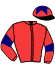 casaque portée par Molins Mme Amb. jockey du cheval de course VERA, information pmu ZETURF casaque portée par Molins Mme Amb. jockey du cheval de course VERA, information pmu ZETURF