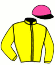 casaque portée par Dubreil J. jockey du cheval de course KRAC BRENUS, information pmu ZETURF