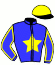casaque portée par Cook T. jockey du cheval de course JAMBA DE GLADJESS, information pmu ZETURF casaque portée par Cook T. jockey du cheval de course JAMBA DE GLADJESS, information pmu ZETURF