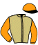 casaque portée par Beaurain T. jockey du cheval de course VIF ARDENT, information pmu ZETURF