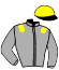 casaque portée par Le Quilleuc S. jockey du cheval de course FANTASTIC SPIRIT, information pmu ZETURF